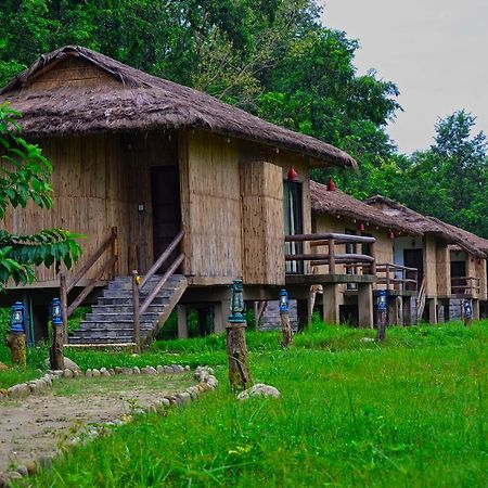 Temple Tiger Green Jungle Resort Kawasoti Bilik gambar