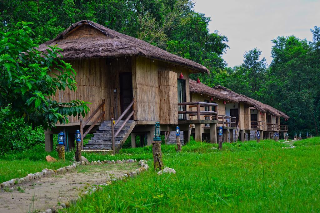Temple Tiger Green Jungle Resort Kawasoti Bilik gambar