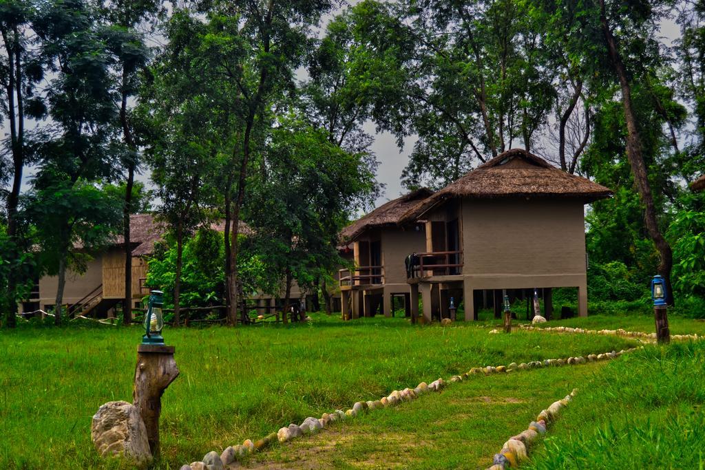 Temple Tiger Green Jungle Resort Kawasoti Luaran gambar